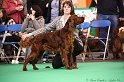 Crufts2011 201